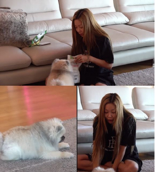 <MBC '전지적 참견 시점' 제공>